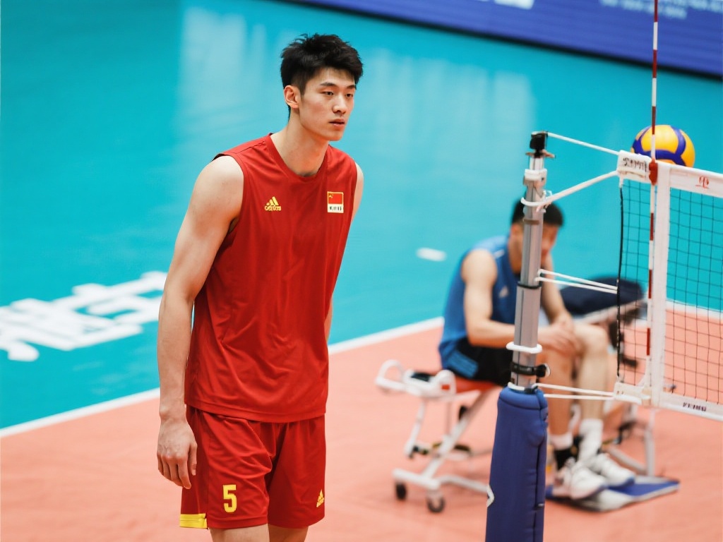 设的步伐 设的步伐